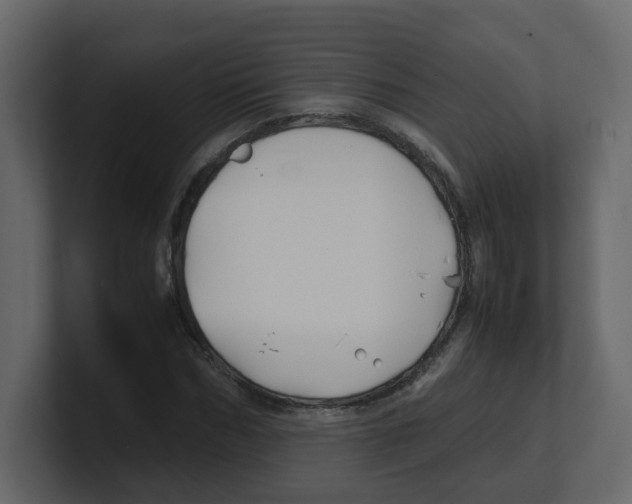 X0000100490970200807111119