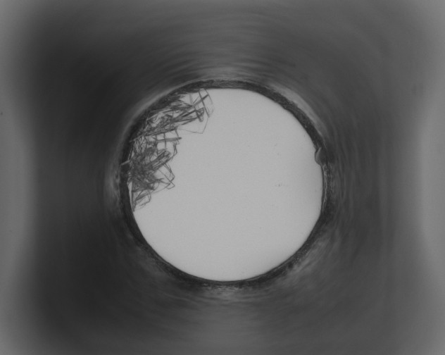 X0000100490971200807111119