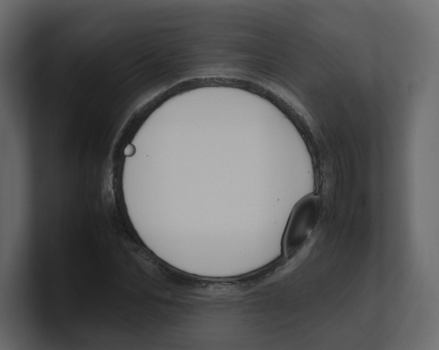X0000100490974200807111119