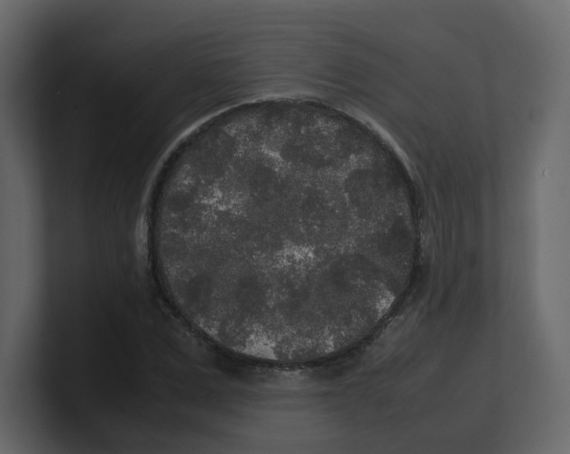 X0000100490975200807111119