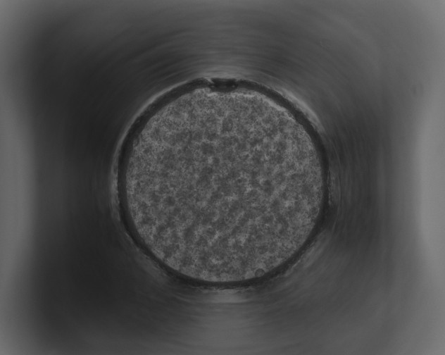 X0000100490976200807111119