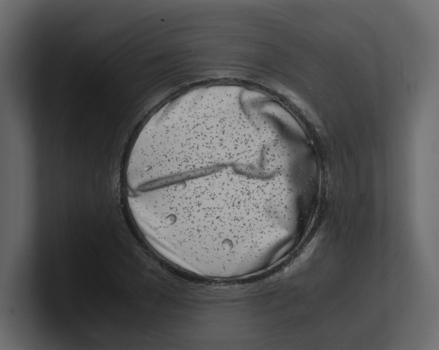 X0000100490977200807111119