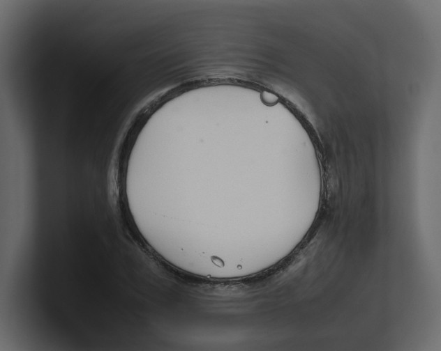 X0000100490979200807111119