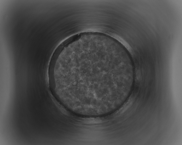 X0000100490980200807111119