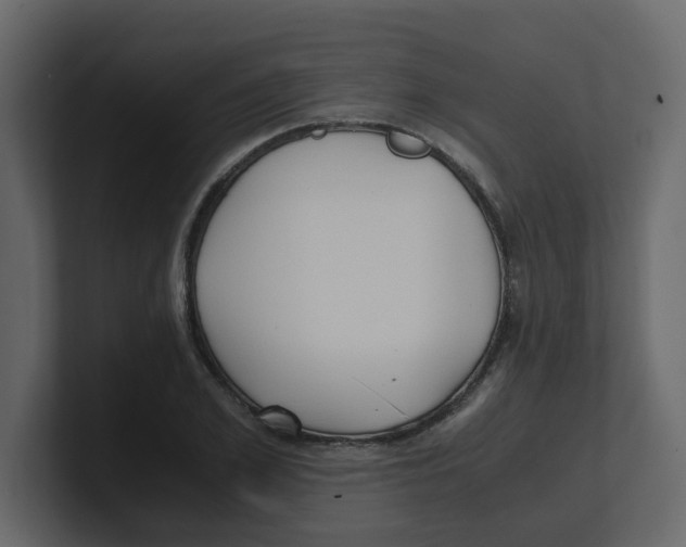 X0000100490981200807111119