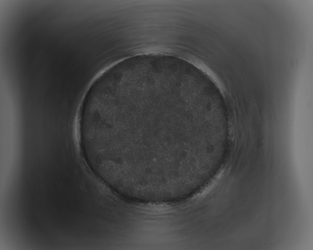 X0000100490983200807111119