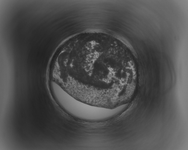 X0000100490984200807111119