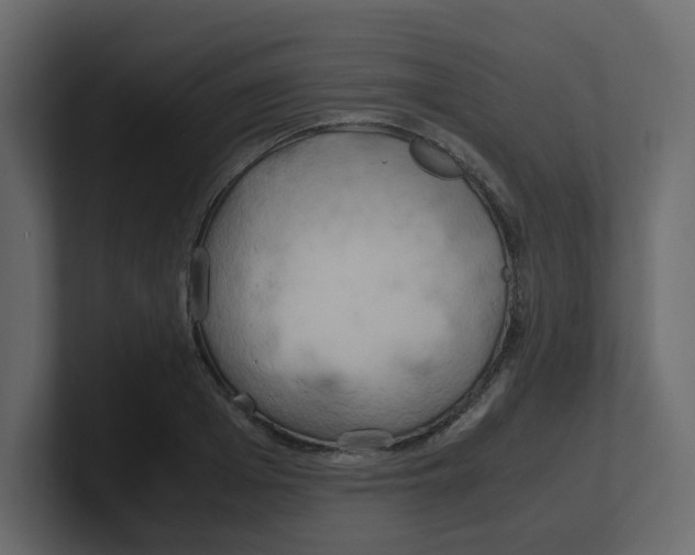 X0000100490985200807111119