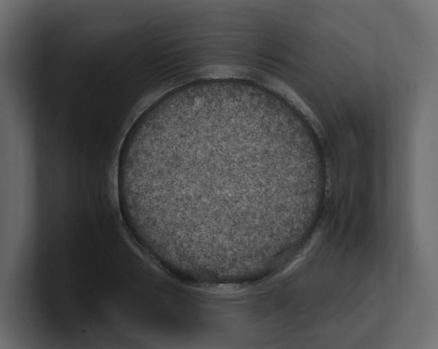X0000100490986200807111119