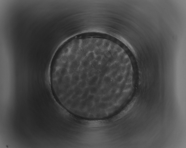 X0000100490988200807111119
