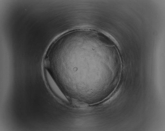 X0000100490989200807111119