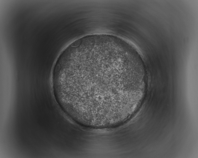 X0000100490990200807111119
