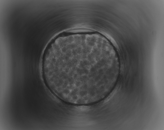 X0000100490992200807111119