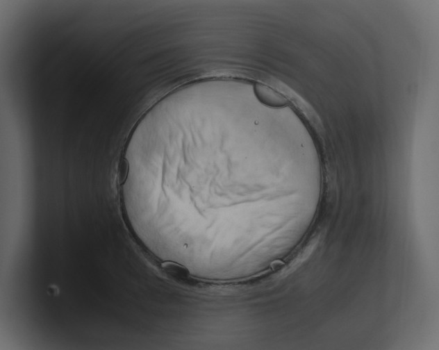 X0000100490993200807111119