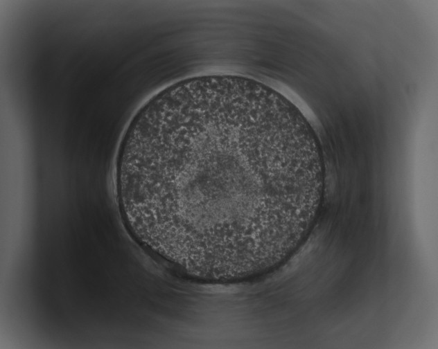 X0000100490996200807111119