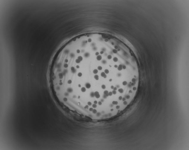 X0000100490997200807111119