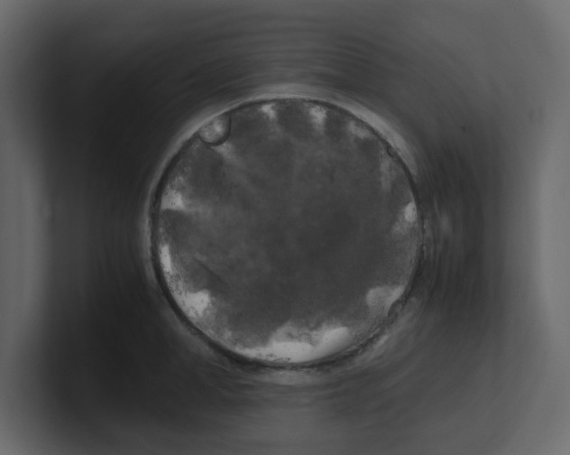 X0000100490998200807111119