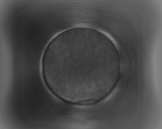 X0000100490999200807111119