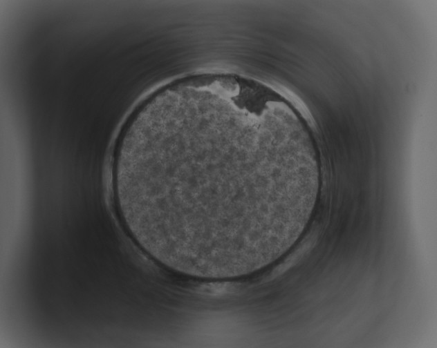 X0000100491000200807111119