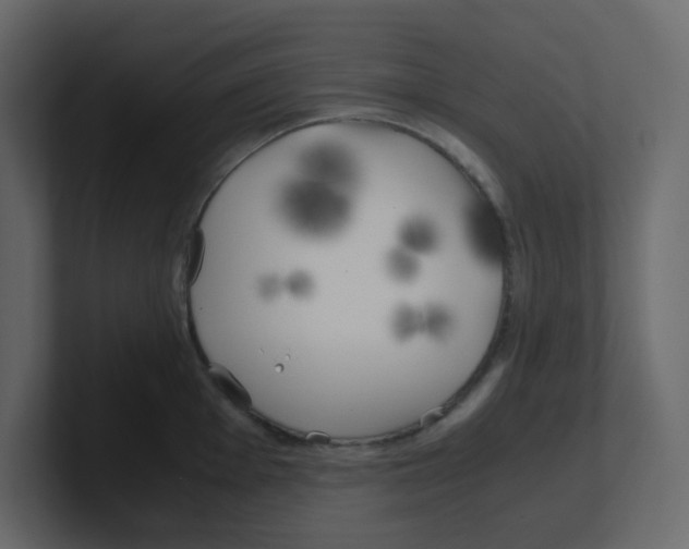 X0000100491001200807111119