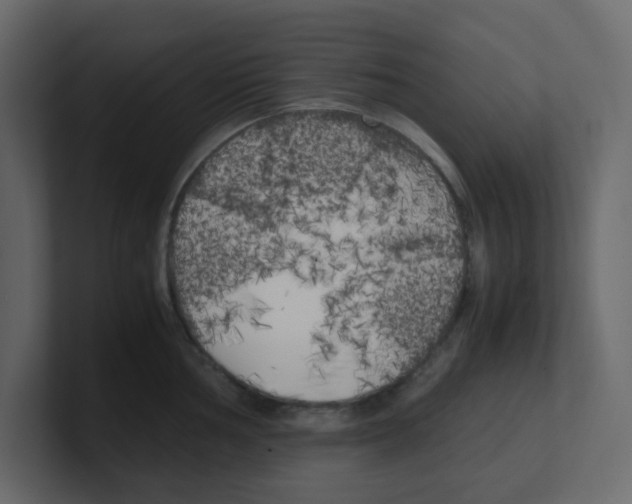 X0000100491002200807111119