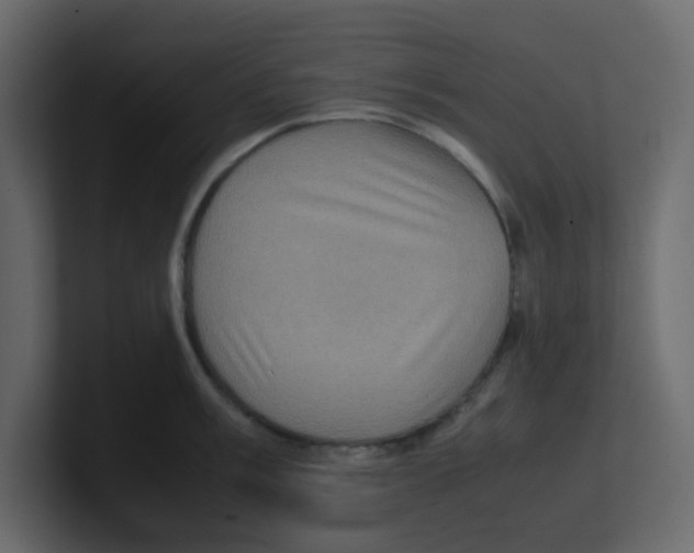 X0000100491003200807111119