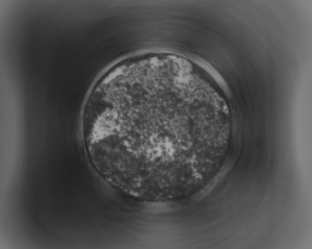 X0000100491004200807111119
