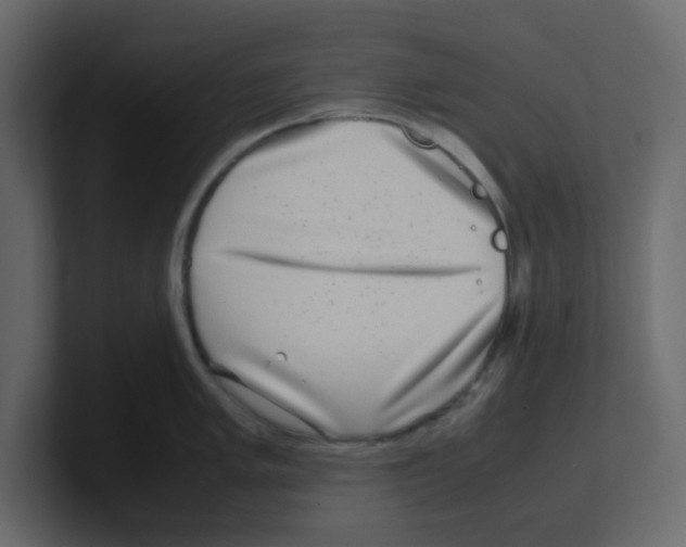 X0000100491005200807111118