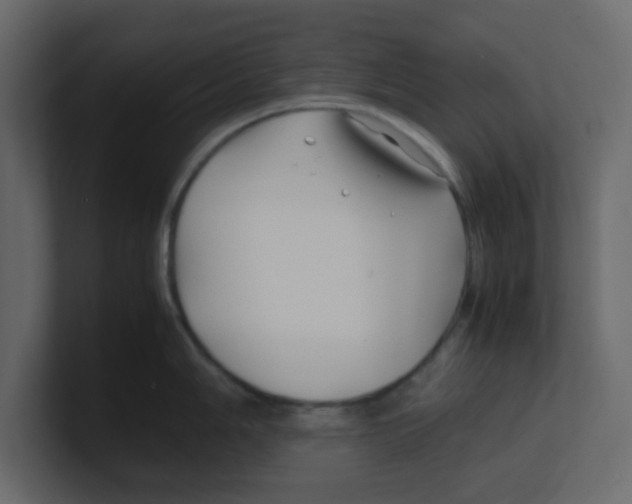 X0000100491006200807111118