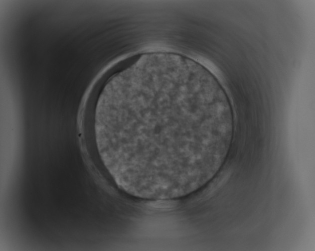 X0000100491008200807111118