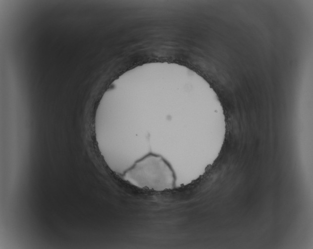 X0000100491009200807111118
