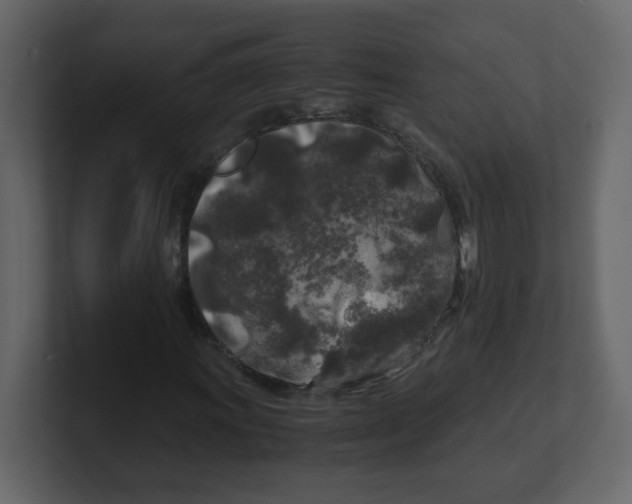 X0000100491011200807111118