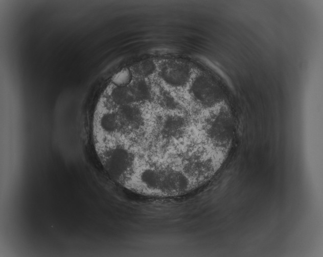 X0000100491015200807111118