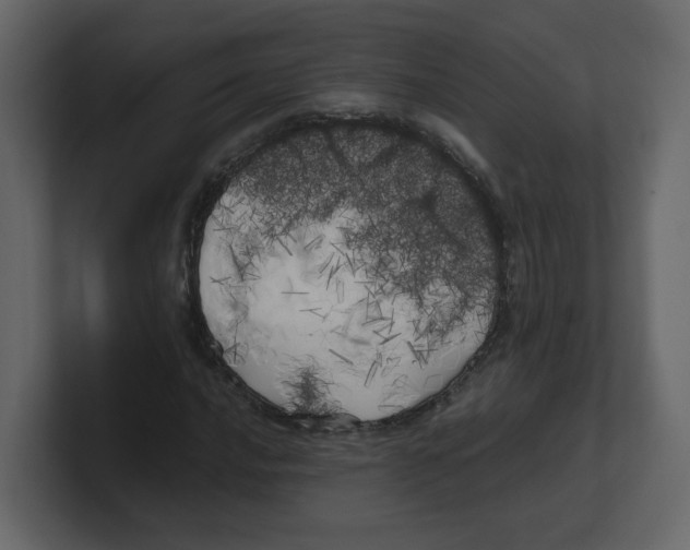 X0000100491016200807111118
