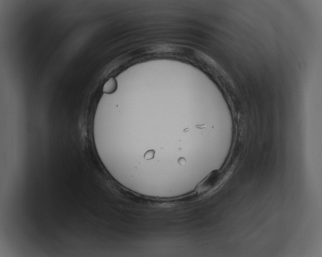 X0000100491017200807111118
