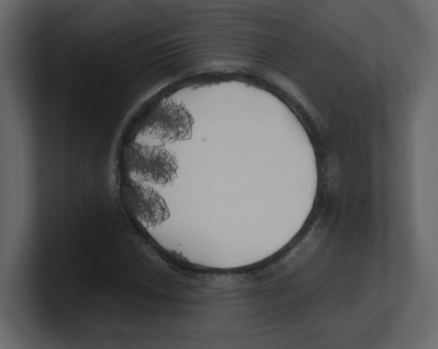 X0000100491018200807111118