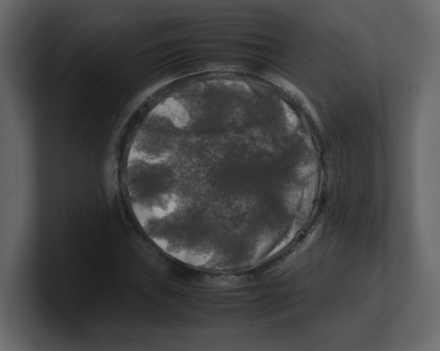 X0000100491019200807111118