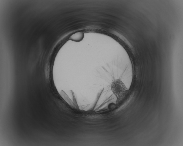 X0000100491021200807111118