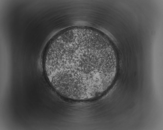 X0000100491022200807111118