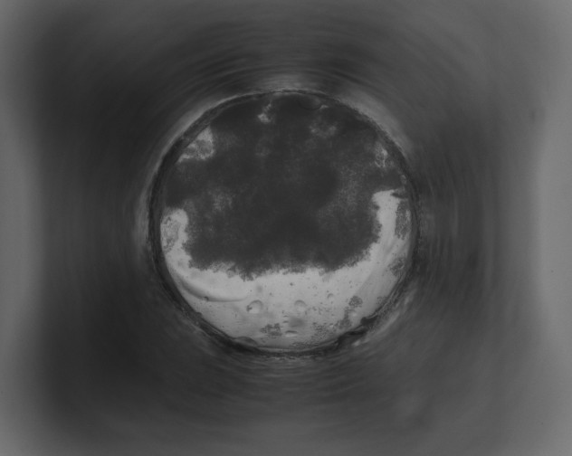 X0000100491023200807111118