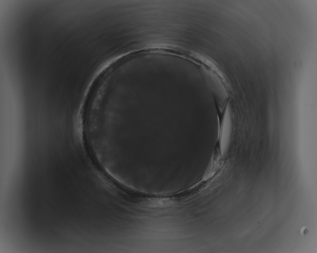 X0000100491024200807111118