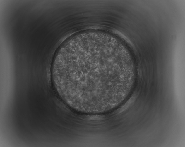 X0000100491025200807111118