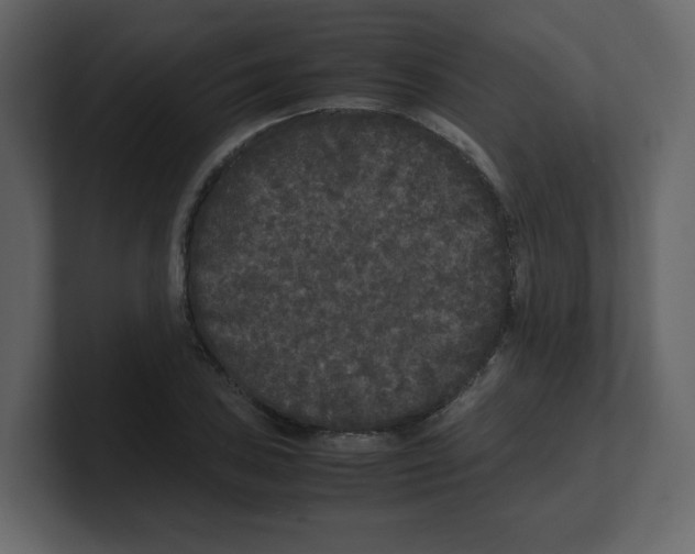 X0000100491027200807111118