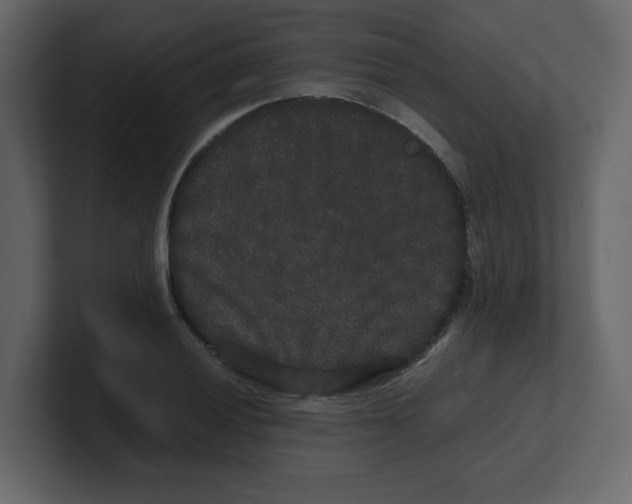 X0000100491028200807111118