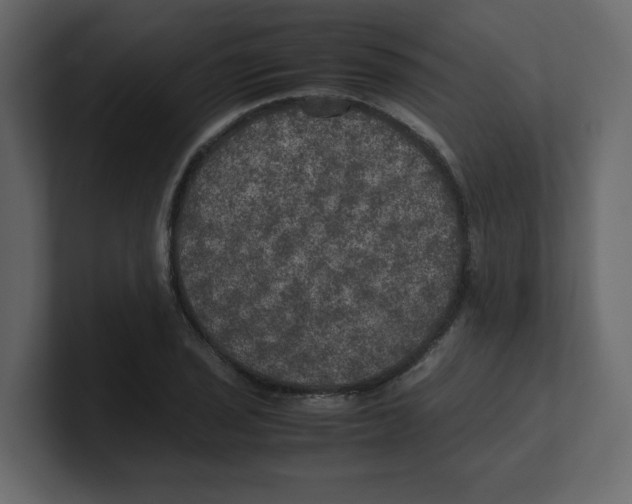 X0000100491029200807111118