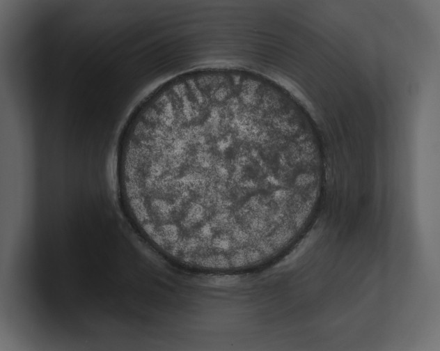X0000100491030200807111118