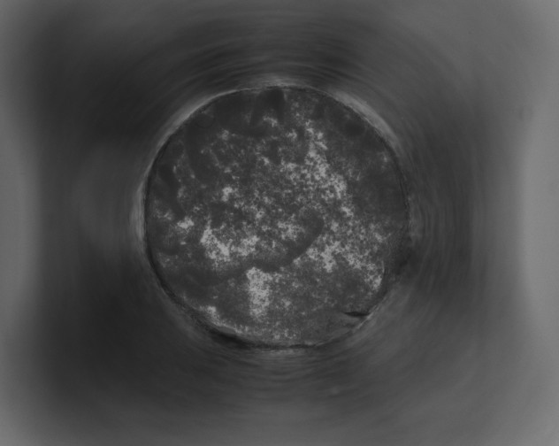 X0000100491031200807111118