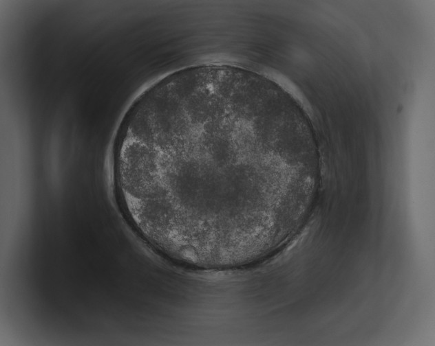 X0000100491032200807111118