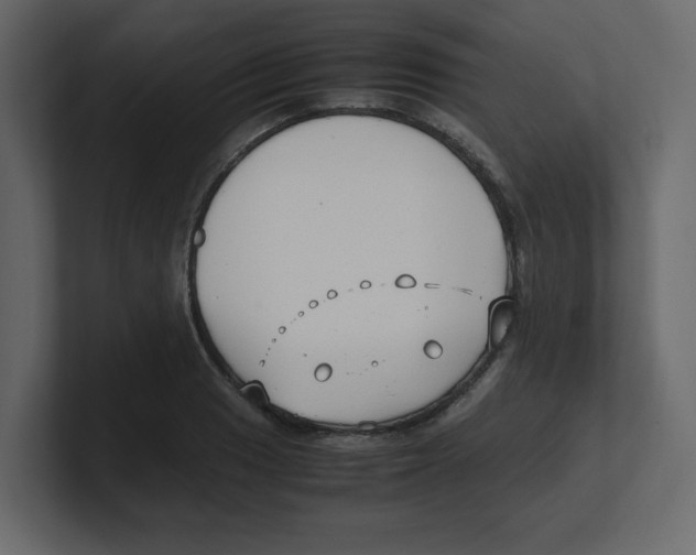X0000100491033200807111118
