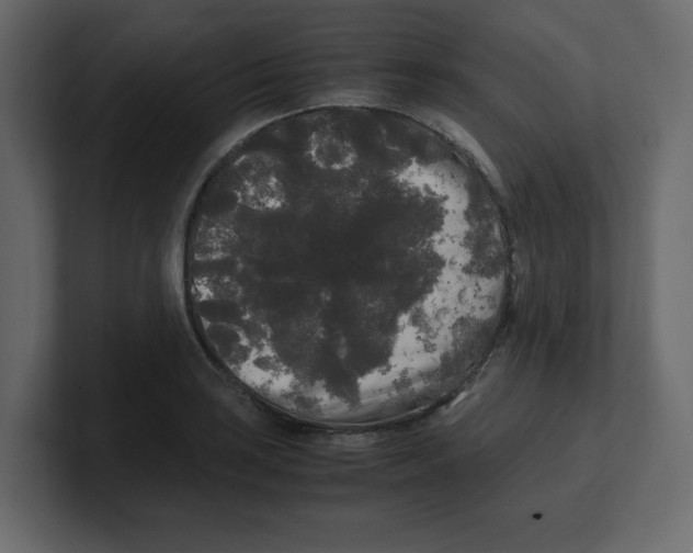 X0000100491035200807111118